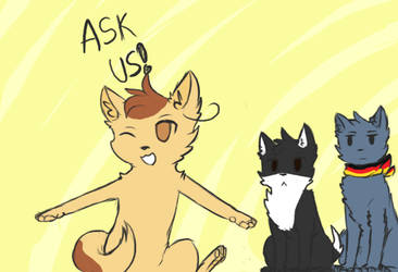 Ask Nekotalia: Axis trio