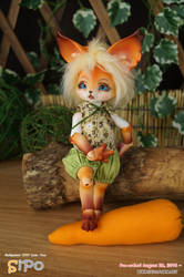 DOLLPAMM ZOO LINE - (Fox)SIPO