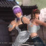 Ayane and Hitomi Intro Tag Pose (Sakura)