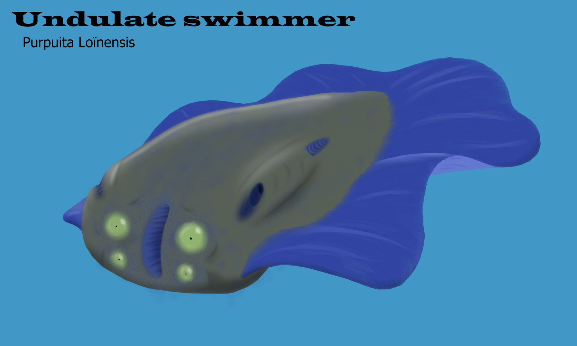 Undulate swimmer by Pulfira on DeviantArt