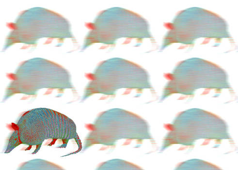 Armadillo in a rush