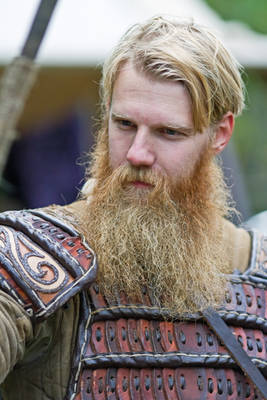 Epic Viking Beard