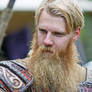 Epic Viking Beard