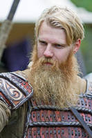 Epic Viking Beard