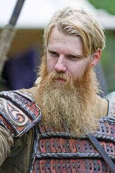 Epic Viking Beard