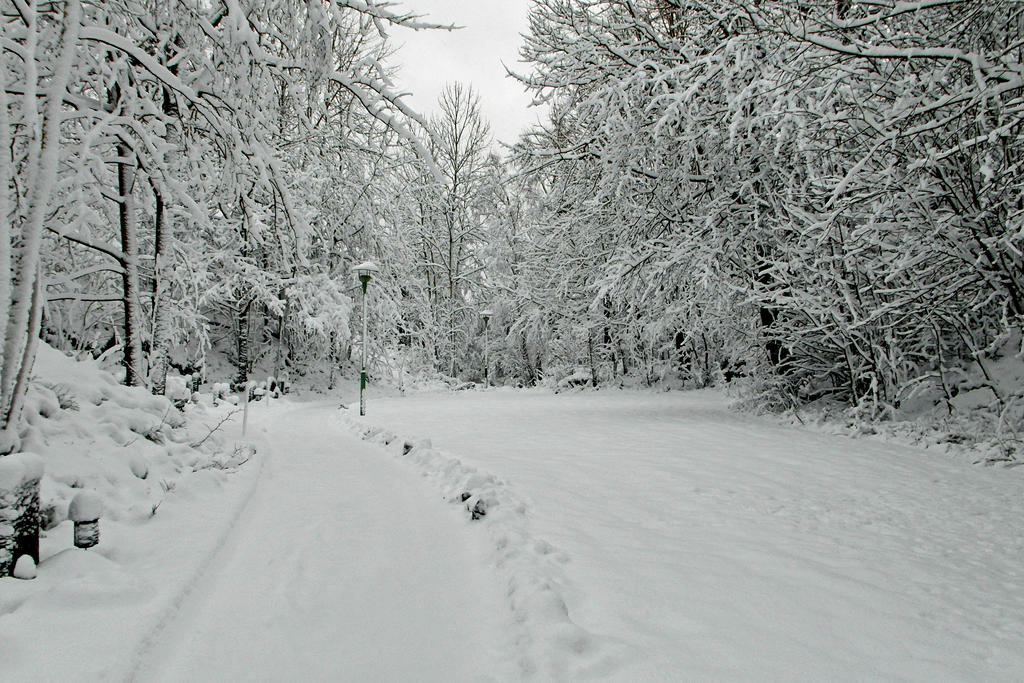 Snow at the cemetary IV