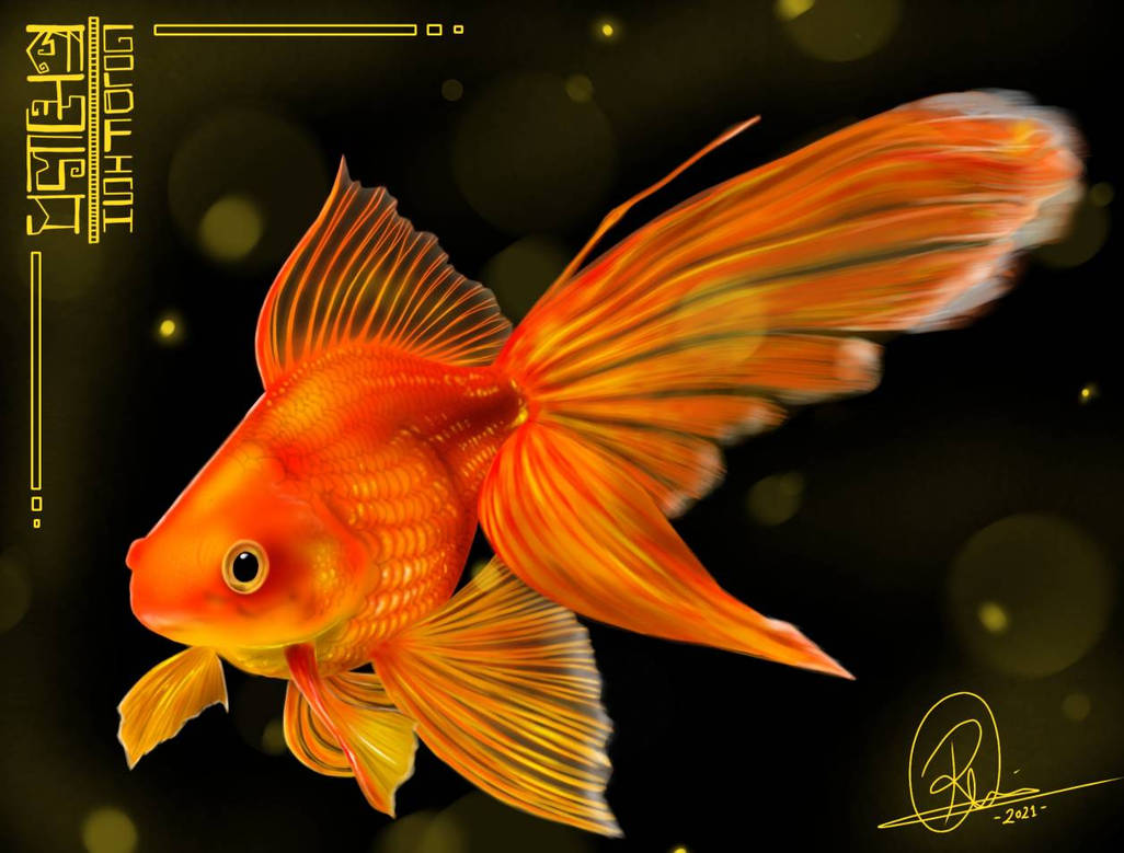 Deviantart 2007 Goldfish Goldfish by RamisaDraws on DeviantArt
