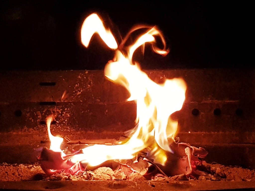 Fire rabbit? by itsameKyle on DeviantArt