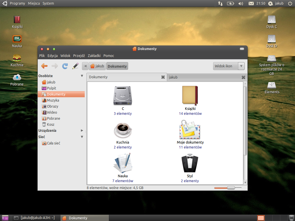 Ubuntu Desktop 18.I 2011