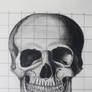 Skull - pencil