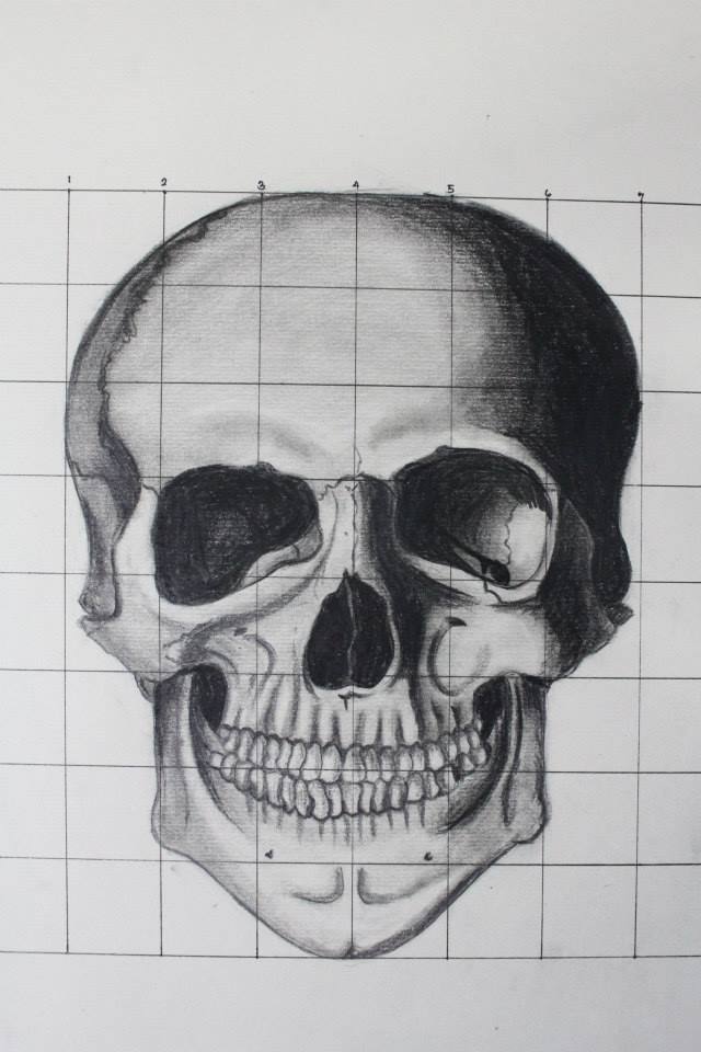 Skull - pencil