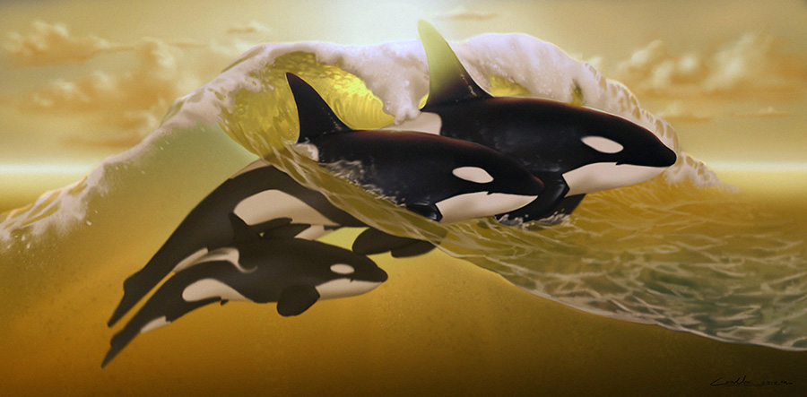 Orcas - Golden Day