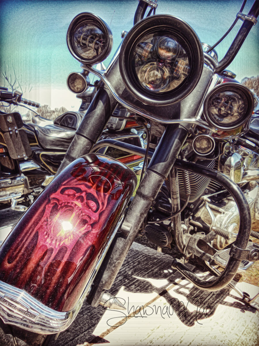 Motorcycle Front End by Shawna Mac