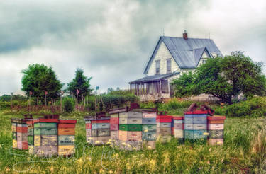 Farmhouse in Wallace, Nova Scotia, Canada