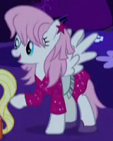 Jem Pony