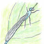Damselfly Cover Design