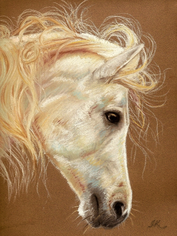 Horse portrait II