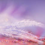 Pastel I by Justysiak