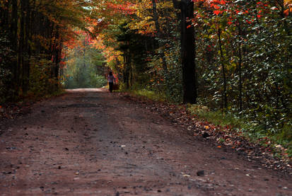 a BRISK AUTUMN STROLL