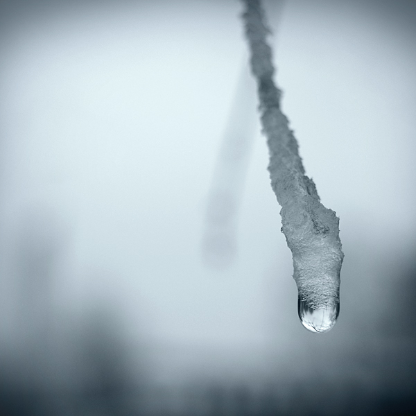 Cold Tears by ArjenCalter