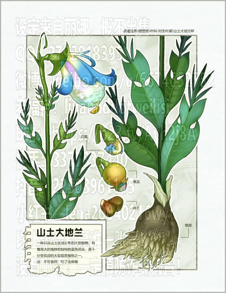 Plant Deviantart plant design by Lenawillis on DeviantArt
