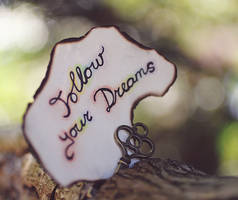 Followyourdreams