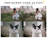 Photoshop Snow Action