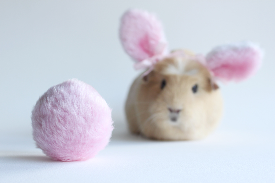 Pink tail by meganjoy Pink tail by meganjoy