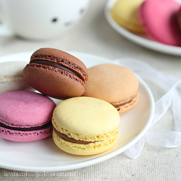 Macarons, pretty patties