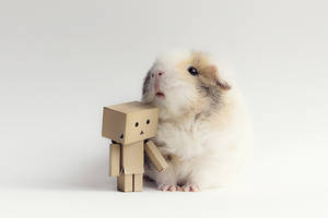 Danbo's new friend by meganjoy Danbo's new friend by meganjoy