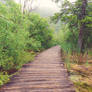 Plitvice lakes