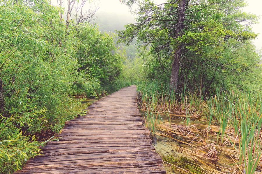 Plitvice lakes by meganjoy