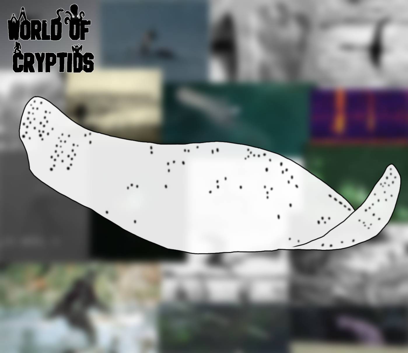 World Of Cryptids : Flying Rays by dinofan18 on DeviantArt