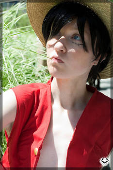 Luffy- Try to See the Line