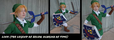 Link- Sakura Con 2010