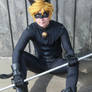 Chat Noir- This black cat just crossed your path