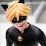 Chat Noir- You Called?