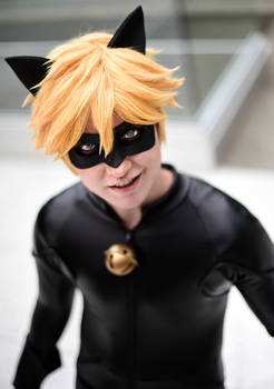 Chat Noir- You Called?