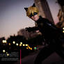 Chat Noir- Justice in the streets of Paris