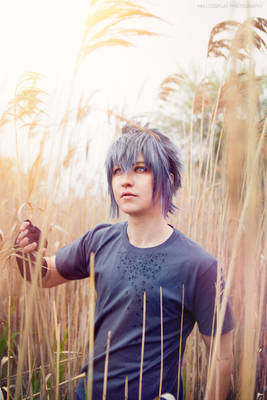 Noctis Lucis Caelum