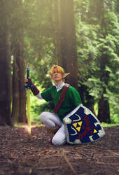 Link- Hero of Time