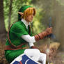 Link- The Boy Without a Fairy