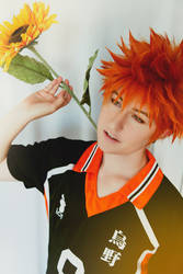 Hinata- Sunflower 