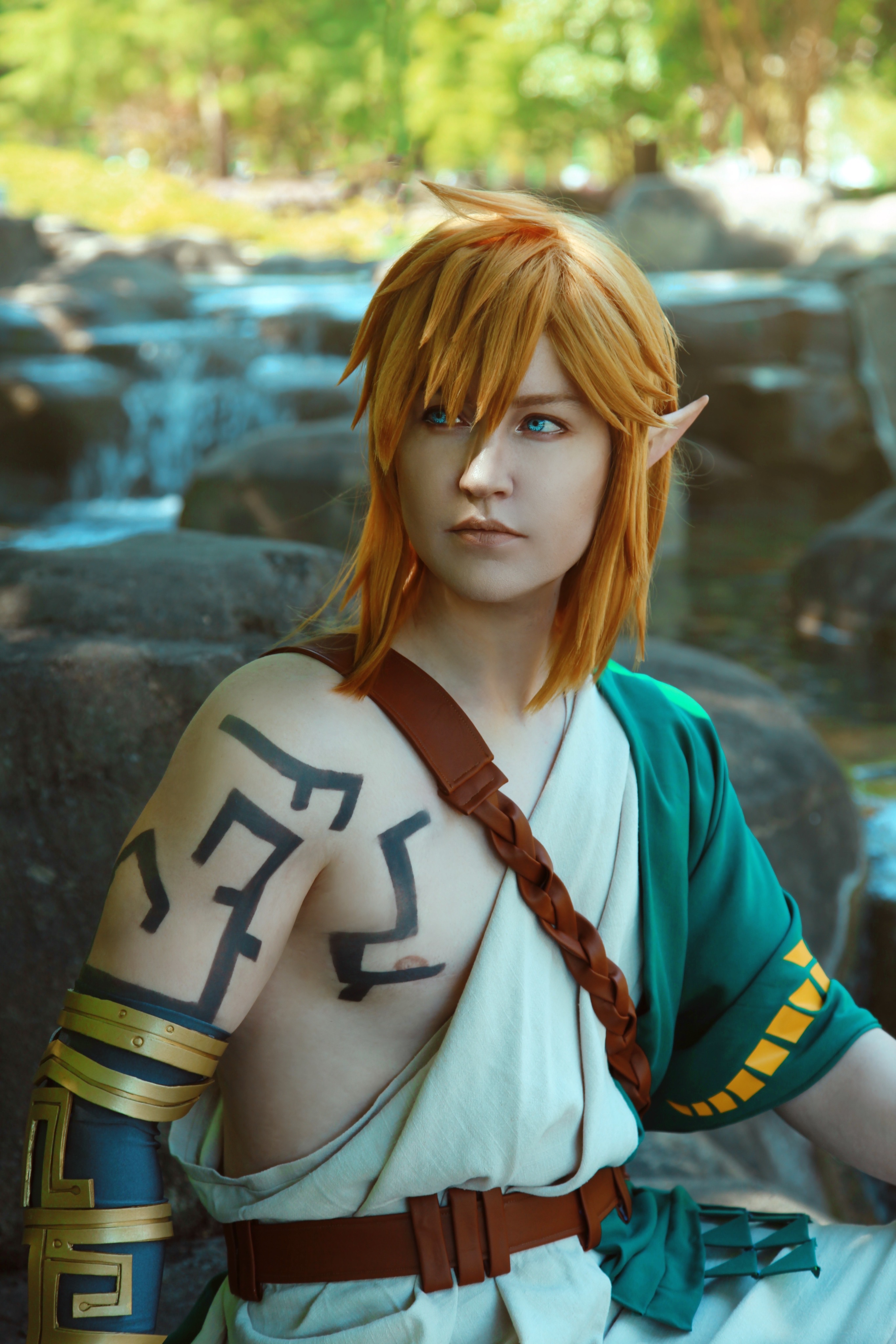 Link Tears of the Kingdom by twinfools on DeviantArt