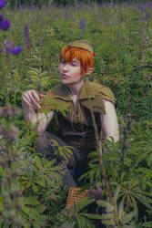 Peter Pan- Sewn shadow