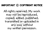 Copyright notice by AngelLale87