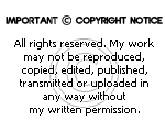 Copyright notice