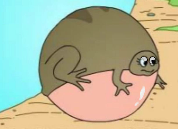 frog inflation by HeroFoxyNighthowler on DeviantArt