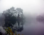 Mist on Stow Lake by Berreitter