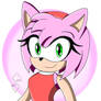 Amy Rose (Sonic the Hedgehog)